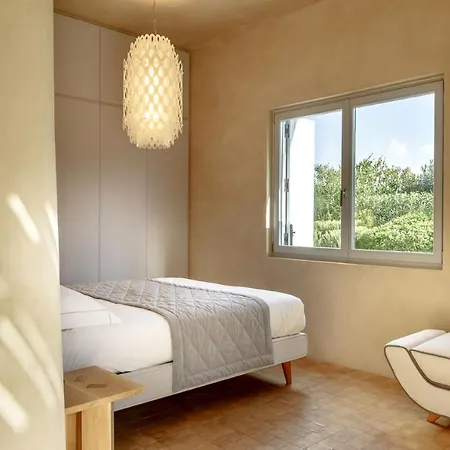 Is Molas * プーラ